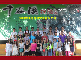 ���̩��ף�I(y��)��(n��i)������ʿ�R���ɹ����R�����X,��(li��n)�W(w��ng)����W(w��ng)